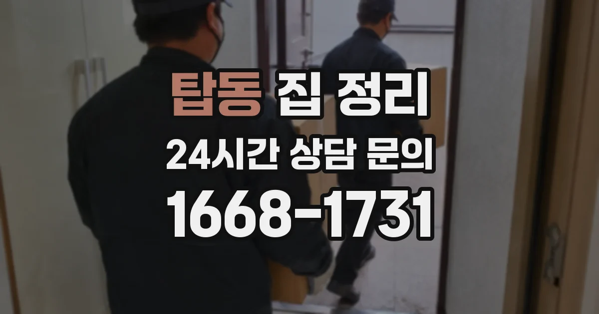 탑동 집 정리