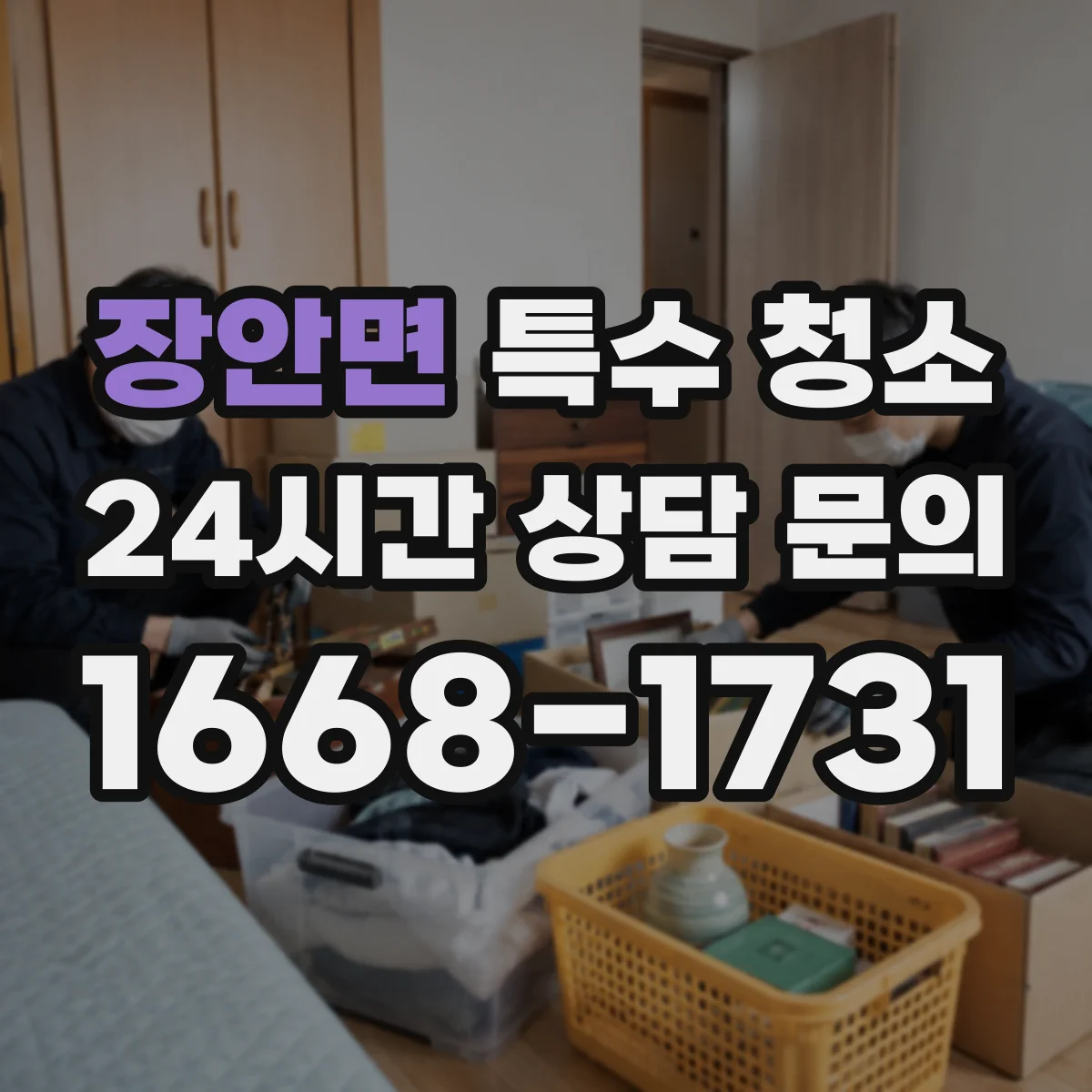 장안면 특수 청소