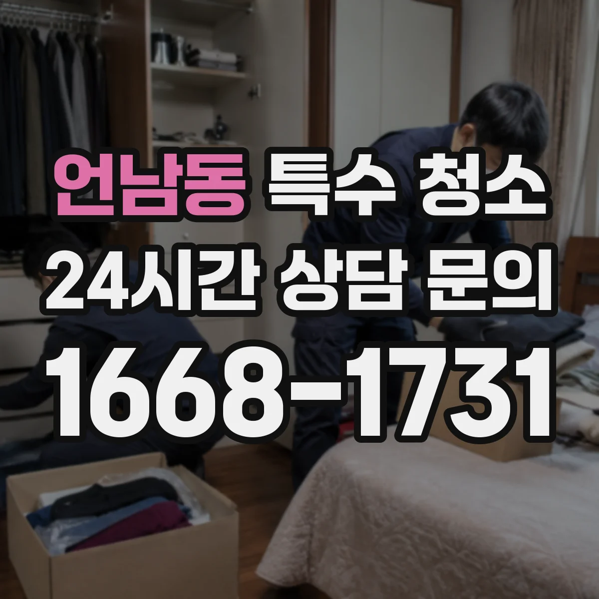 언남동 특수 청소