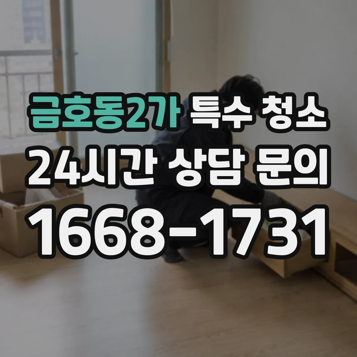 금호동2가 특수 청소