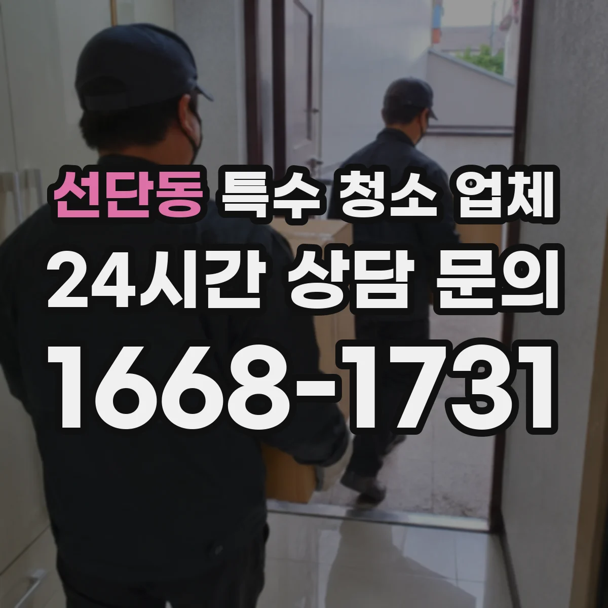 선단동 특수 청소 업체