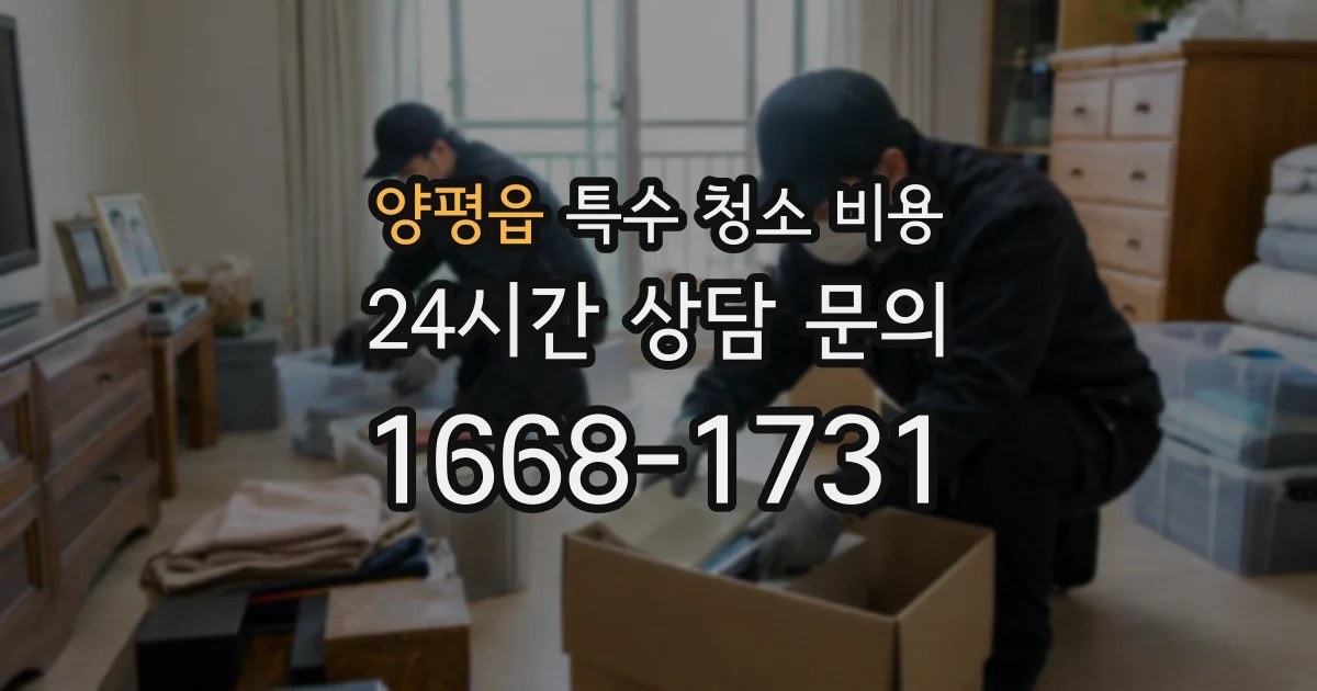양평읍 특수 청소 비용