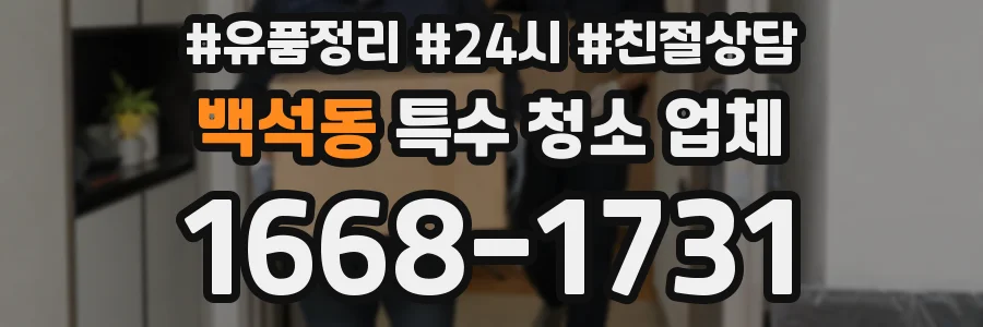 백석동 특수 청소 업체