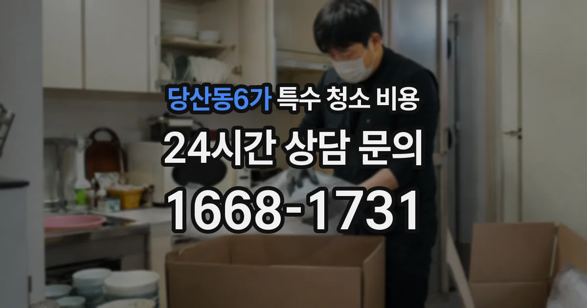 당산동6가 특수 청소 비용