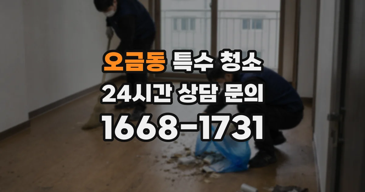 오금동 특수 청소