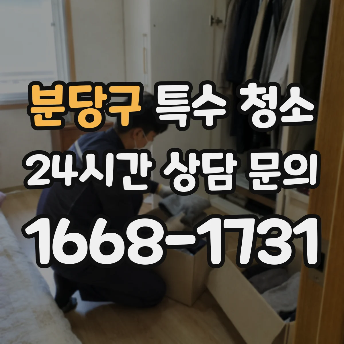 분당구 특수 청소