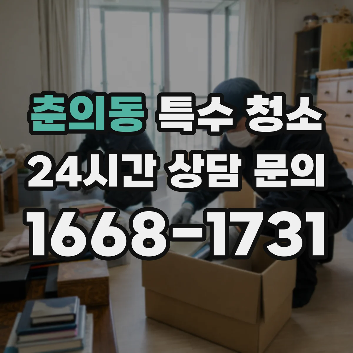 춘의동 특수 청소