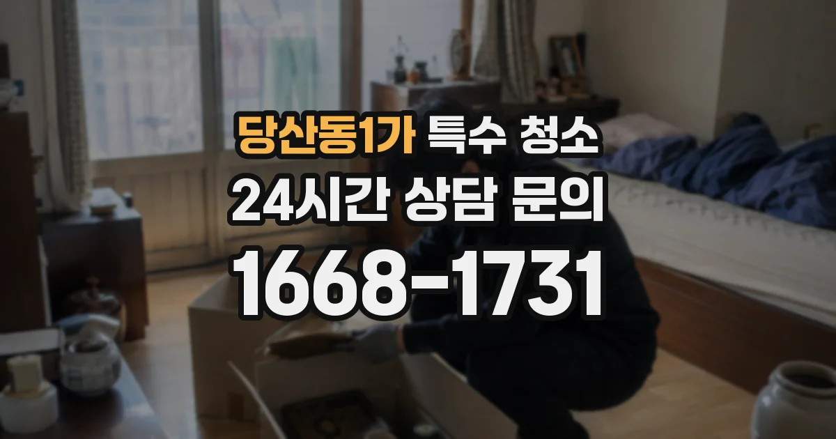 당산동1가 특수 청소