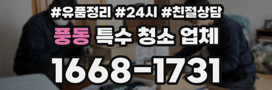 풍동 특수 청소 업체