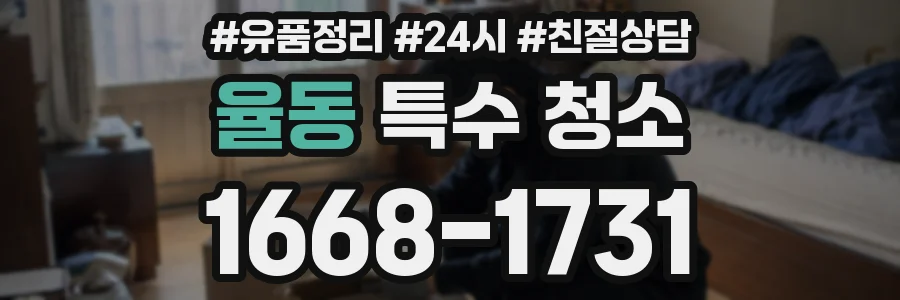 율동 특수 청소