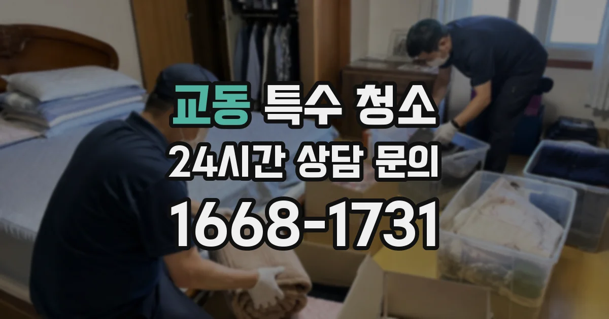 교동 특수 청소