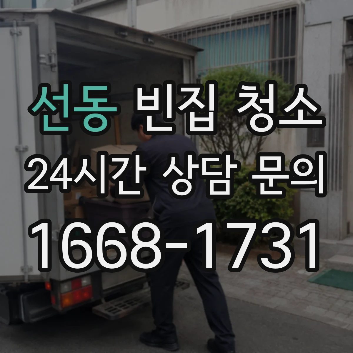 선동 빈집 청소