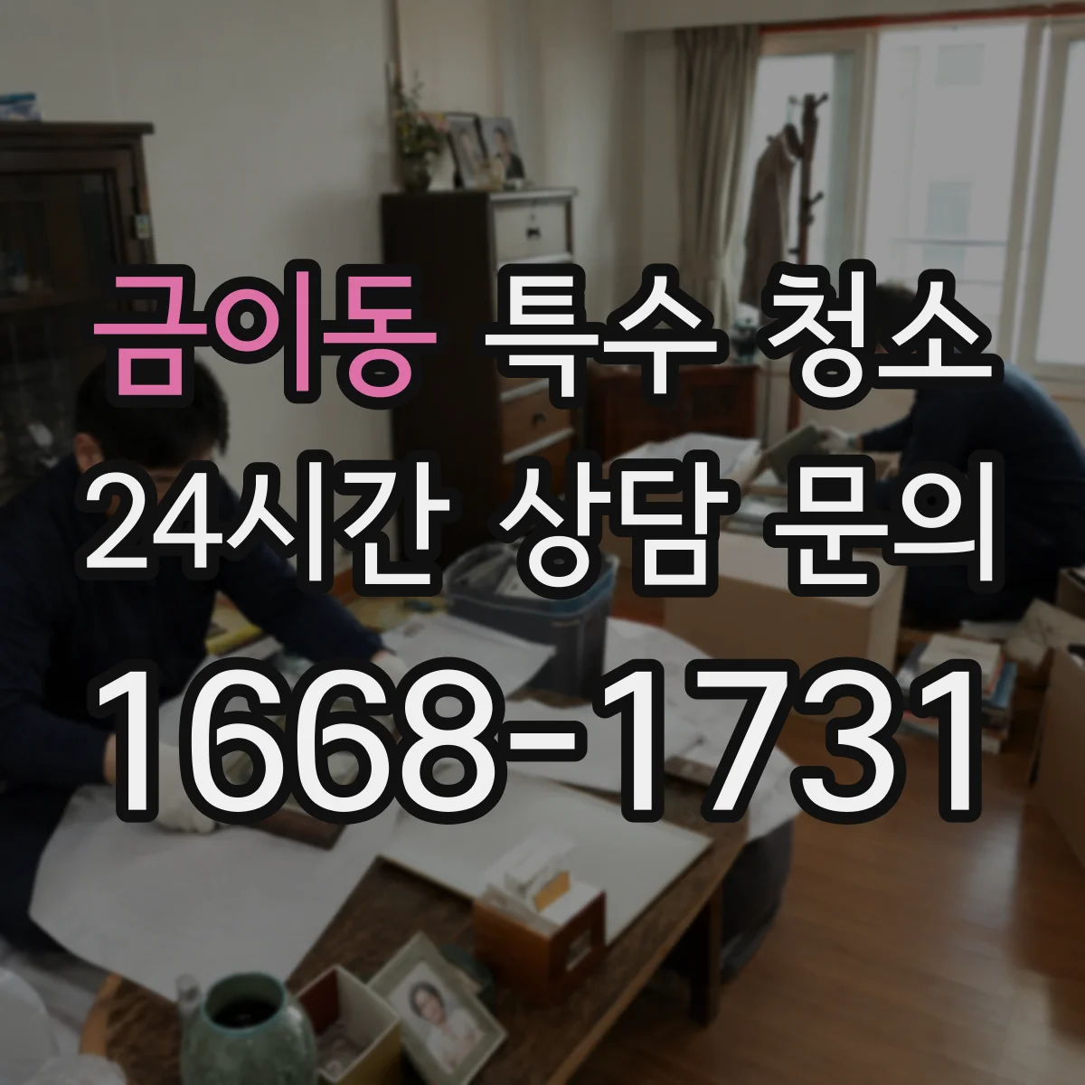 금이동 특수 청소
