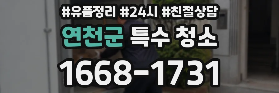 연천군 특수 청소
