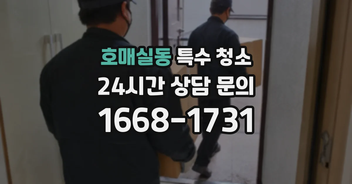 호매실동 특수 청소