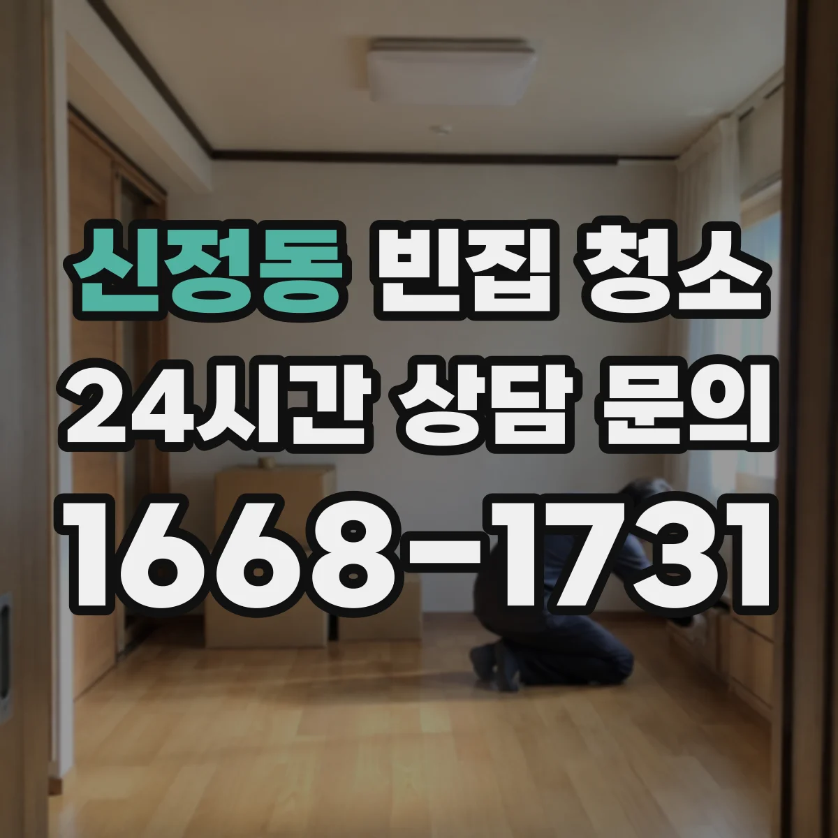 신정동 빈집 청소