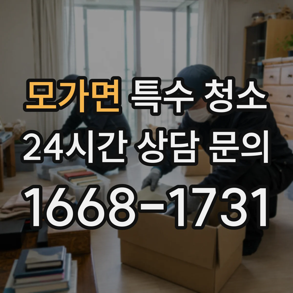 모가면 특수 청소