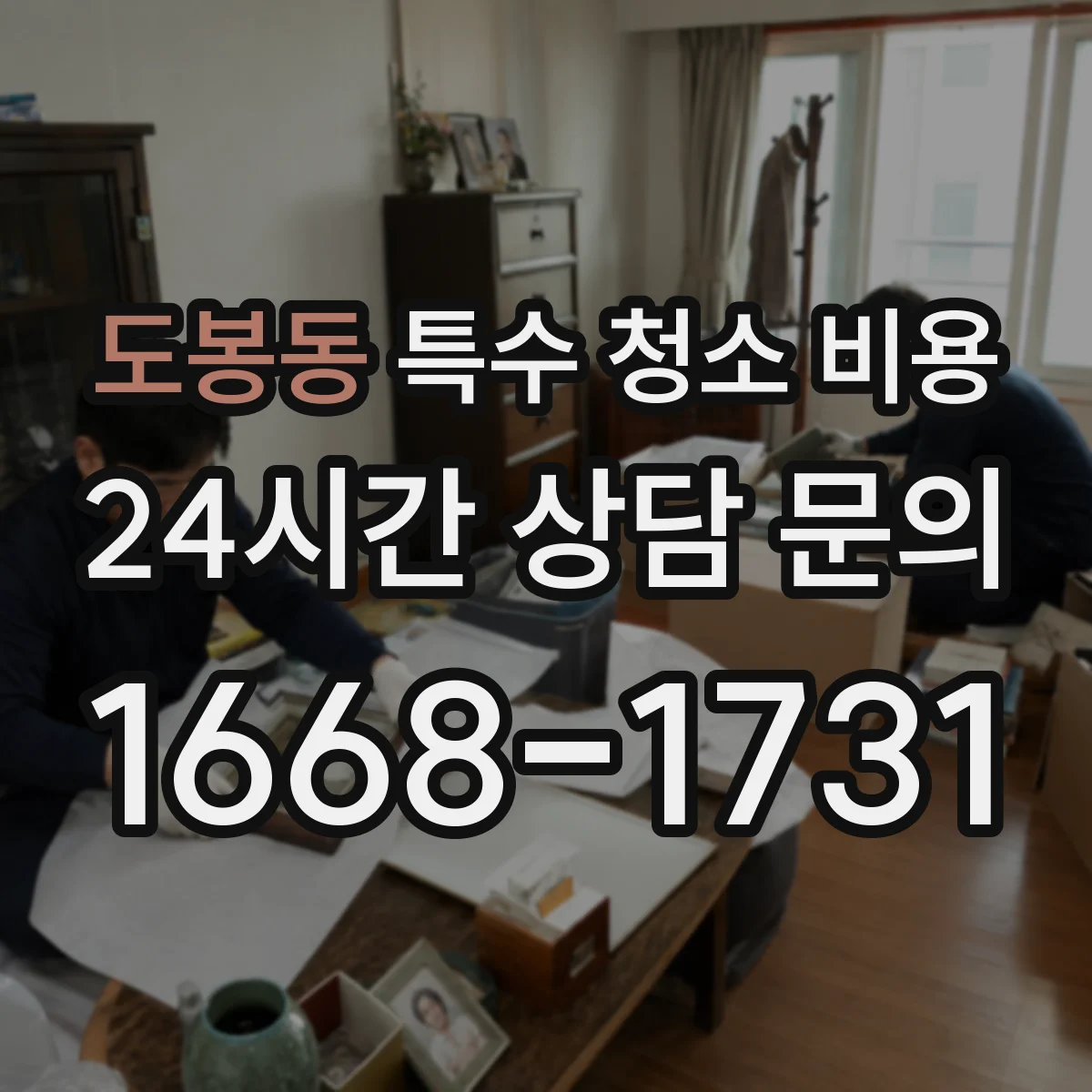도봉동 특수 청소 비용