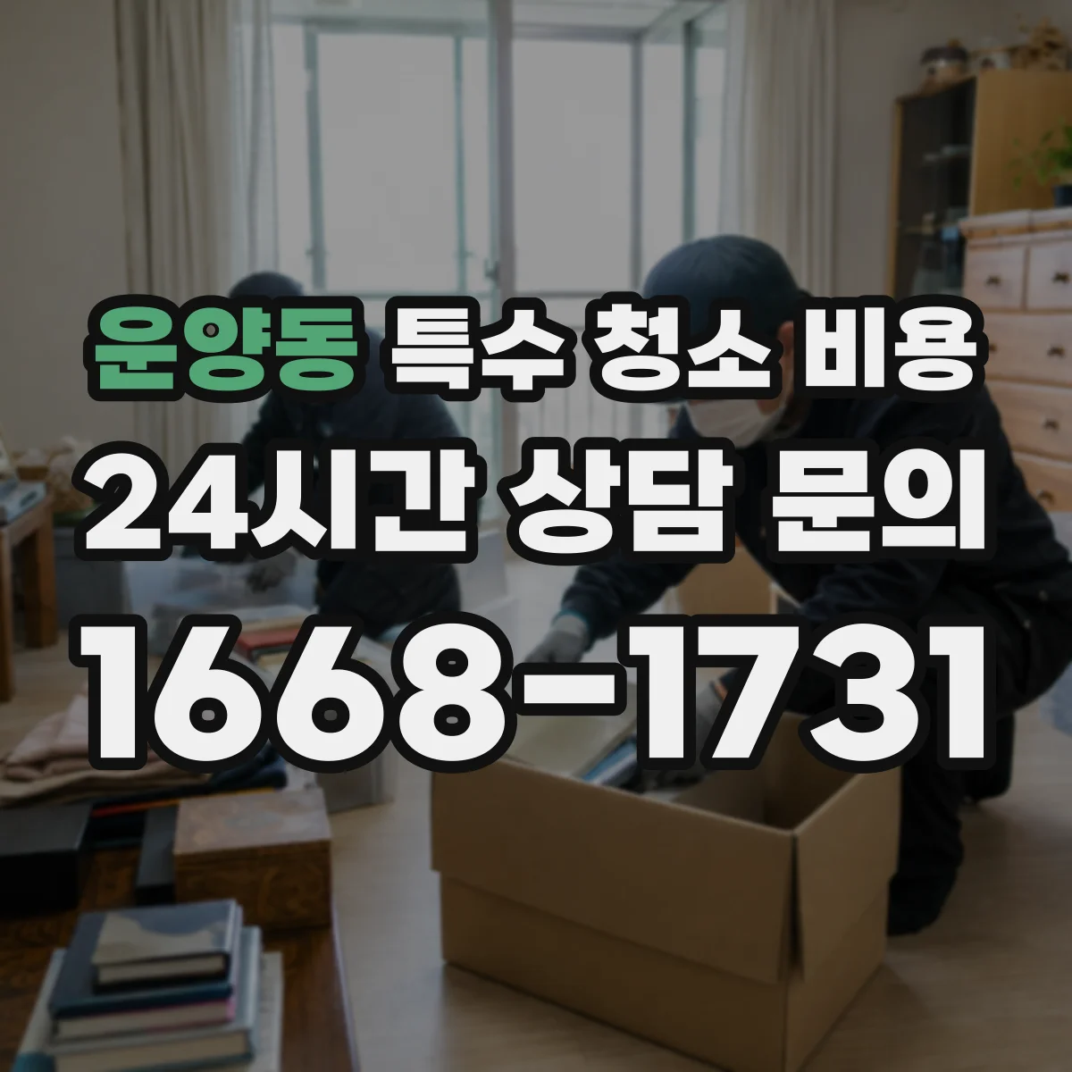운양동 특수 청소 비용