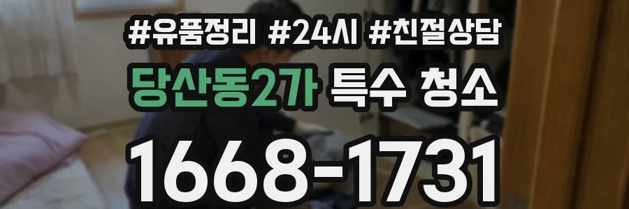 당산동2가 특수 청소