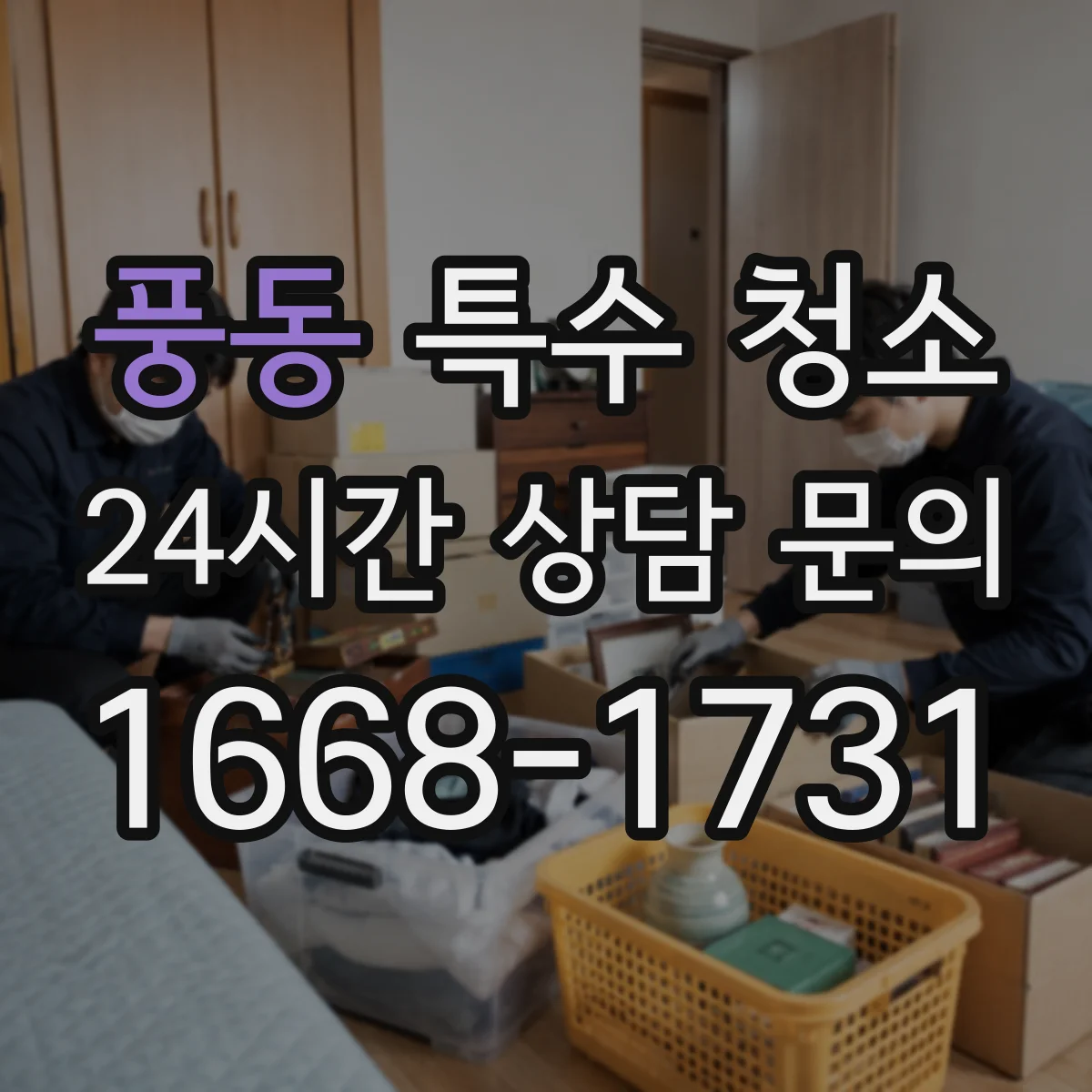 풍동 특수 청소