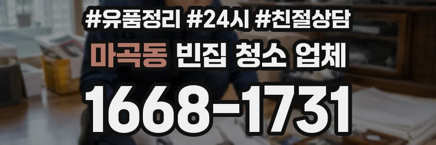 마곡동 빈집 청소 업체