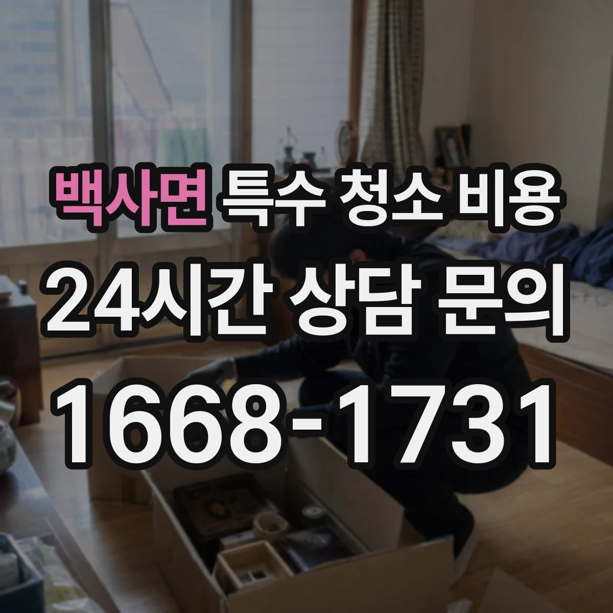 백사면 특수 청소 비용
