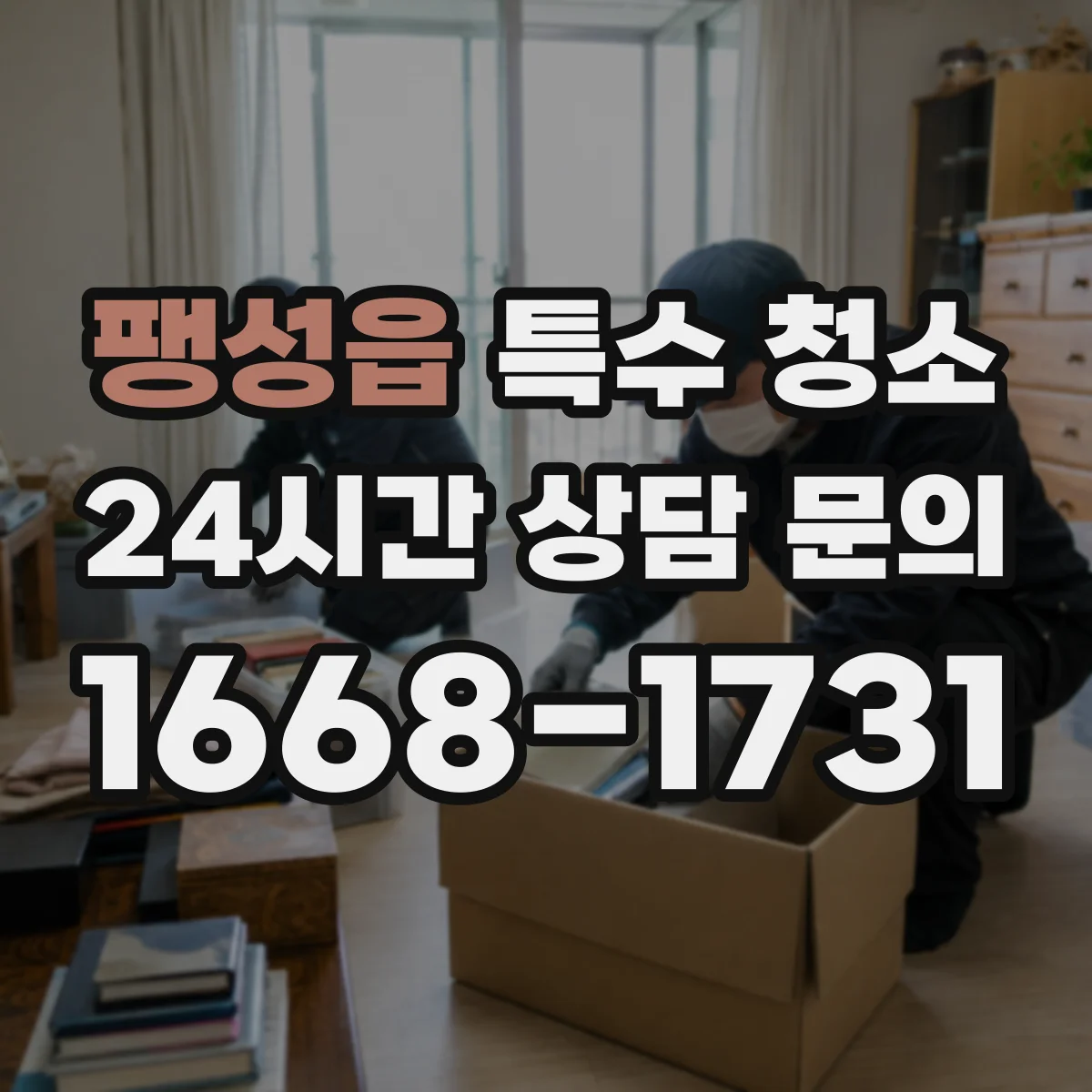 팽성읍 특수 청소