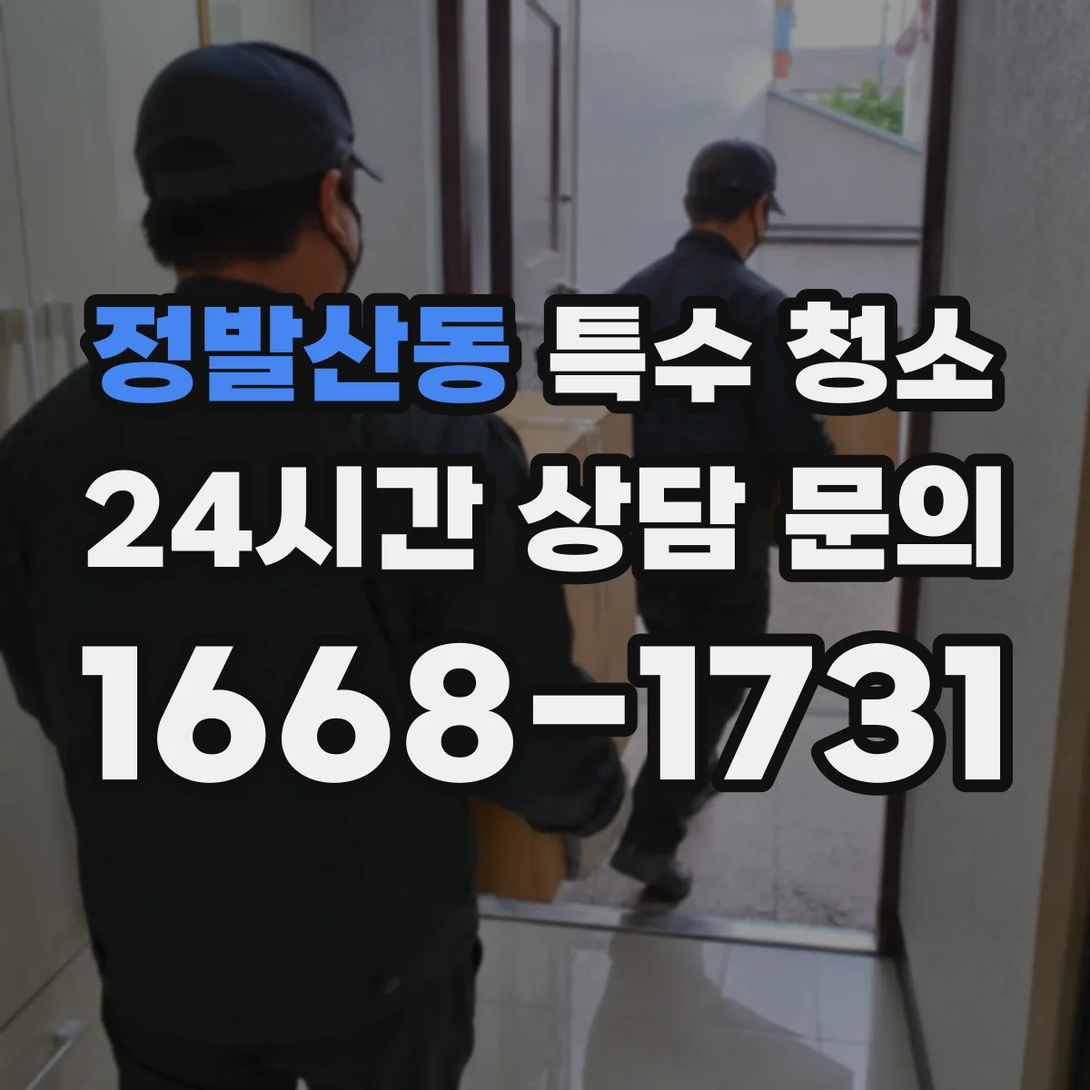 정발산동 특수 청소