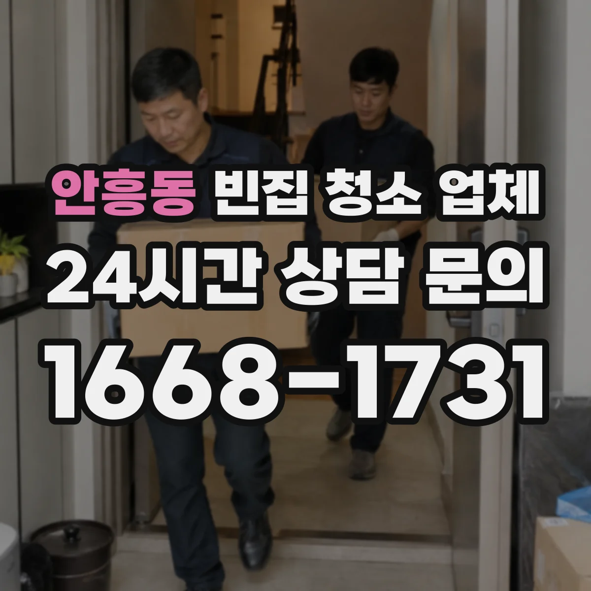 안흥동 빈집 청소 업체