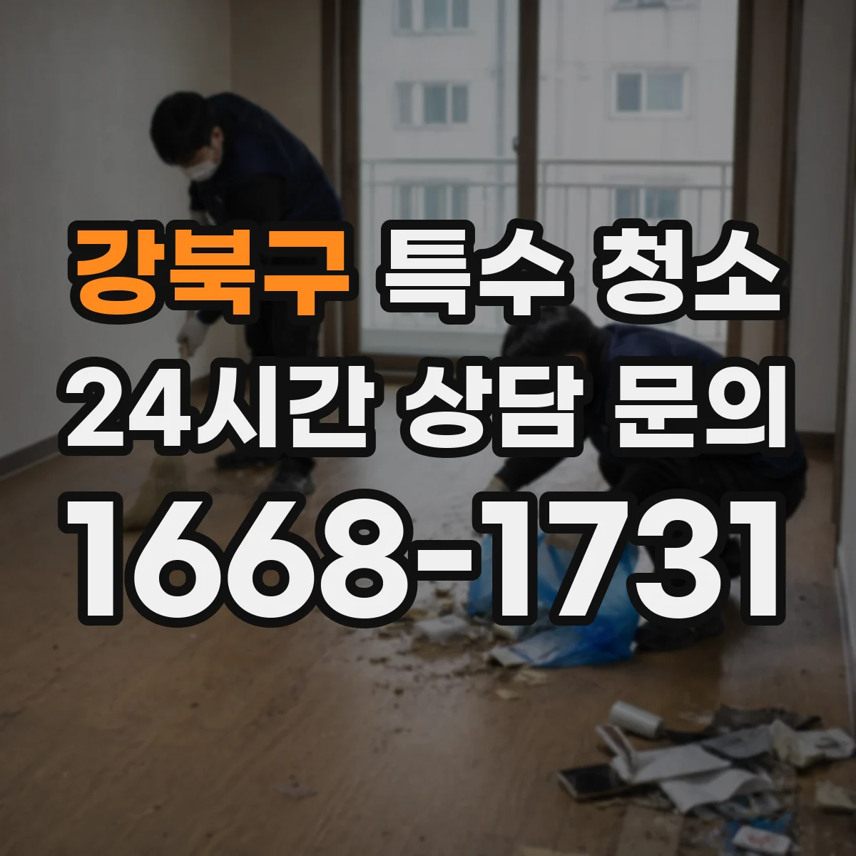 강북구 특수 청소