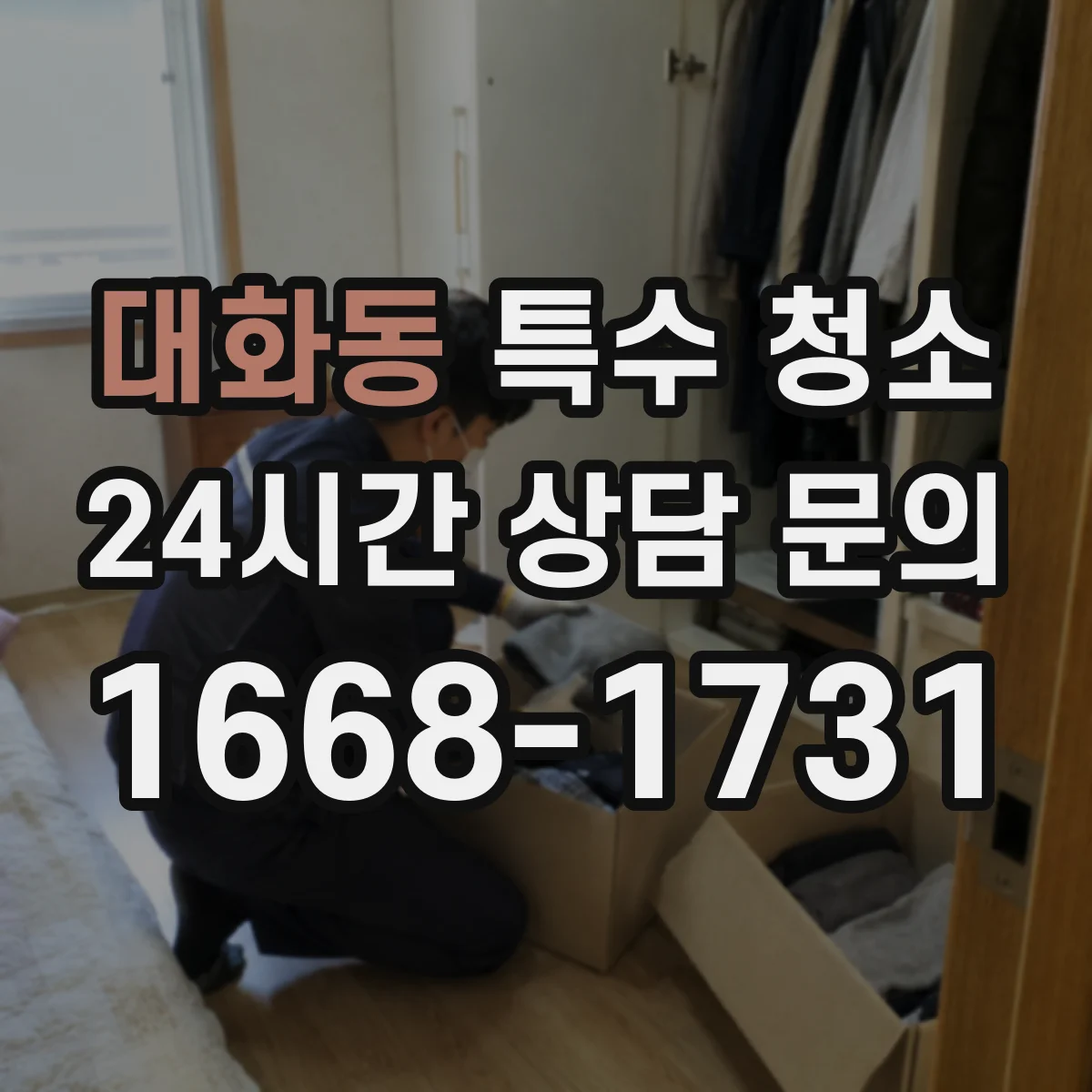 대화동 특수 청소