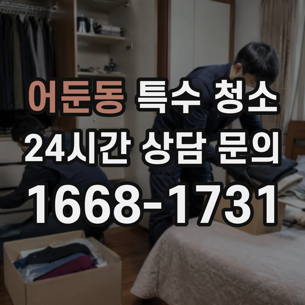 어둔동 특수 청소