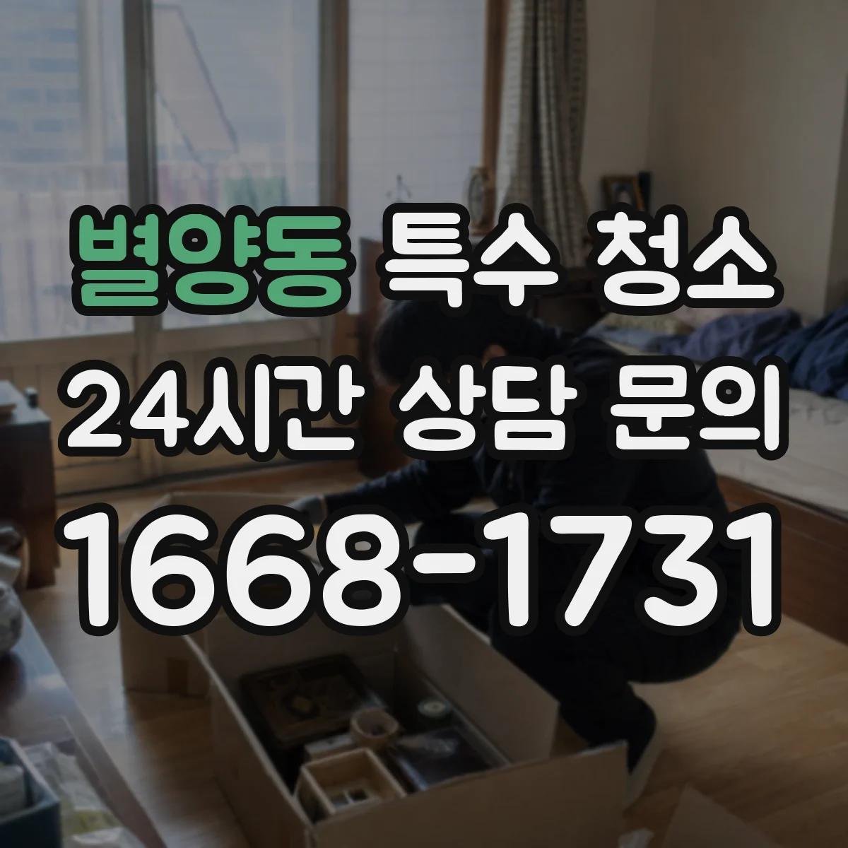 별양동 특수 청소