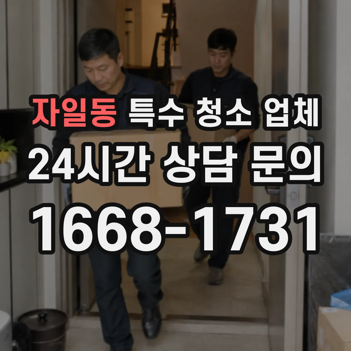 자일동 특수 청소 업체