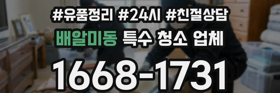 배알미동 특수 청소 업체