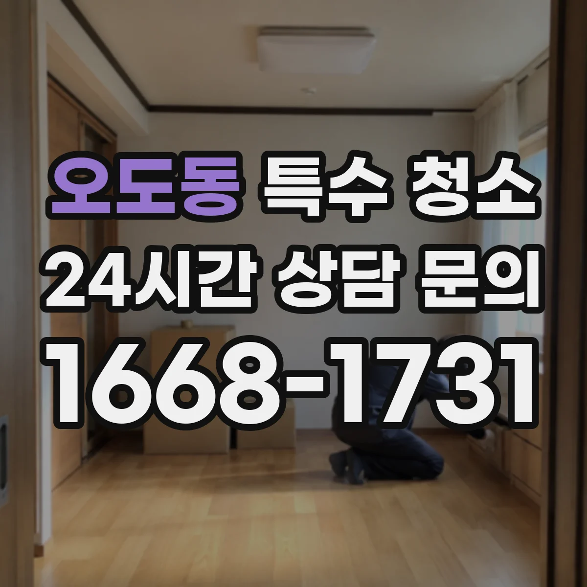 오도동 특수 청소