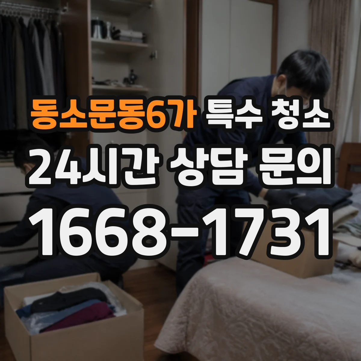 동소문동6가 특수 청소