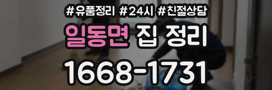 일동면 집 정리