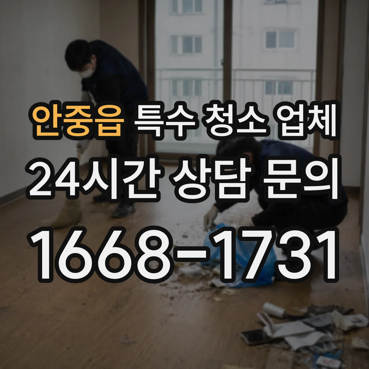안중읍 특수 청소 업체