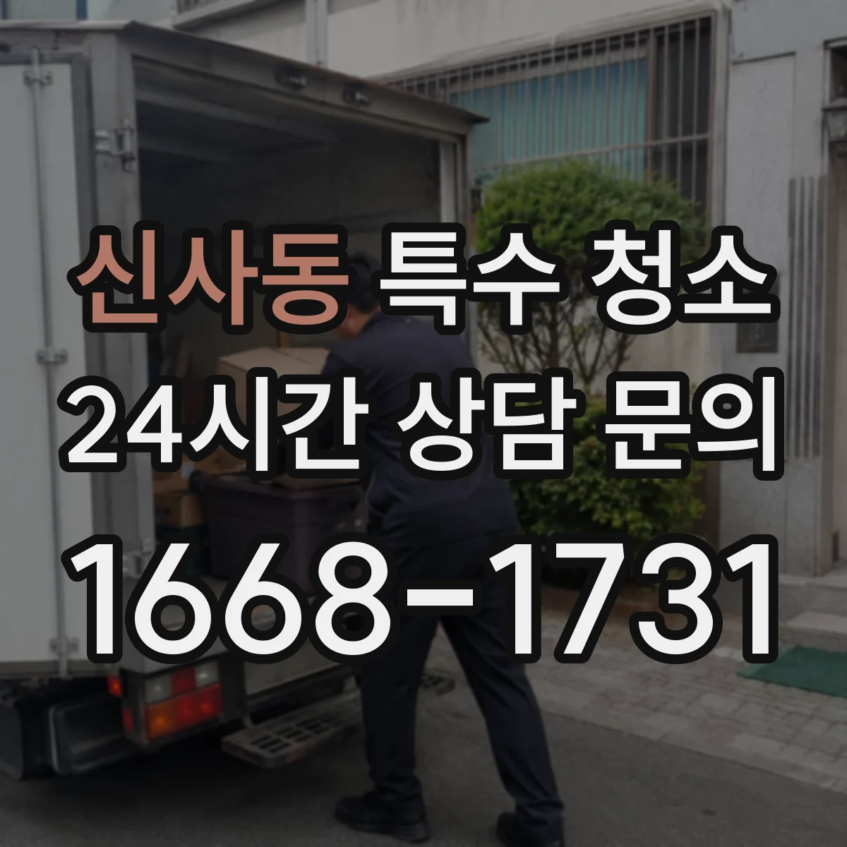신사동 특수 청소