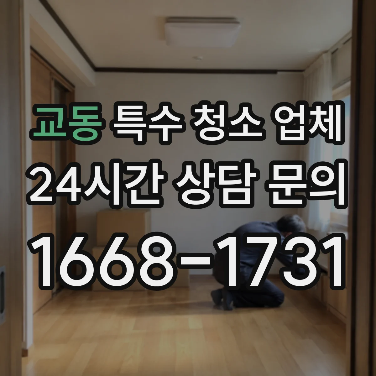 교동 특수 청소 업체