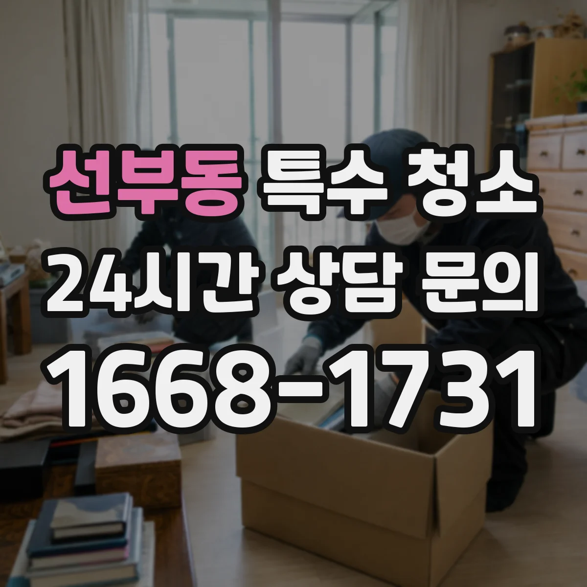 선부동 특수 청소