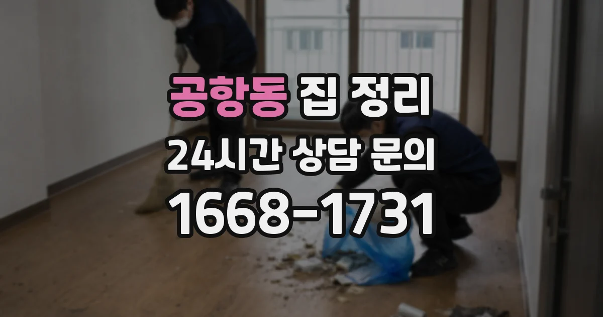 공항동 집 정리