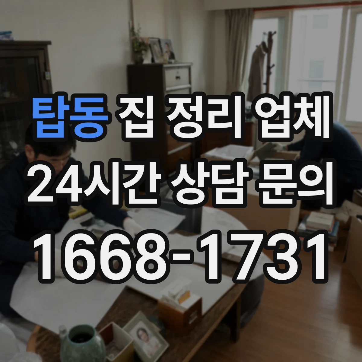 탑동 집 정리 업체