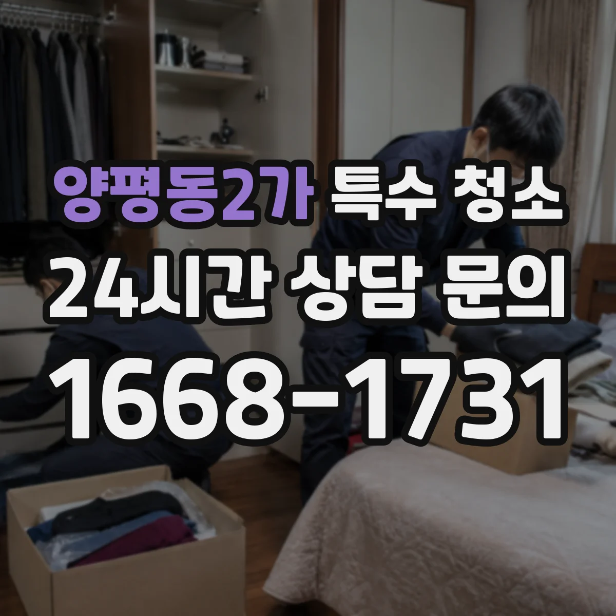 양평동2가 특수 청소