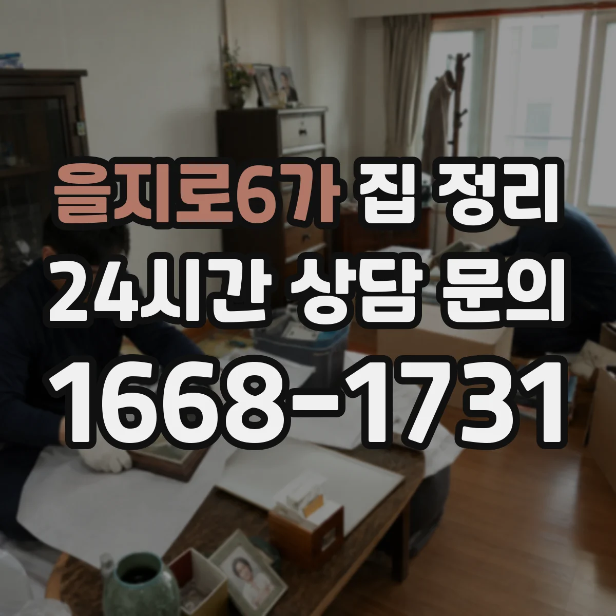 을지로6가 집 정리