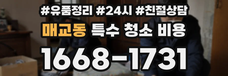 매교동 특수 청소 비용