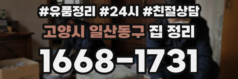 고양시 일산동구 집 정리