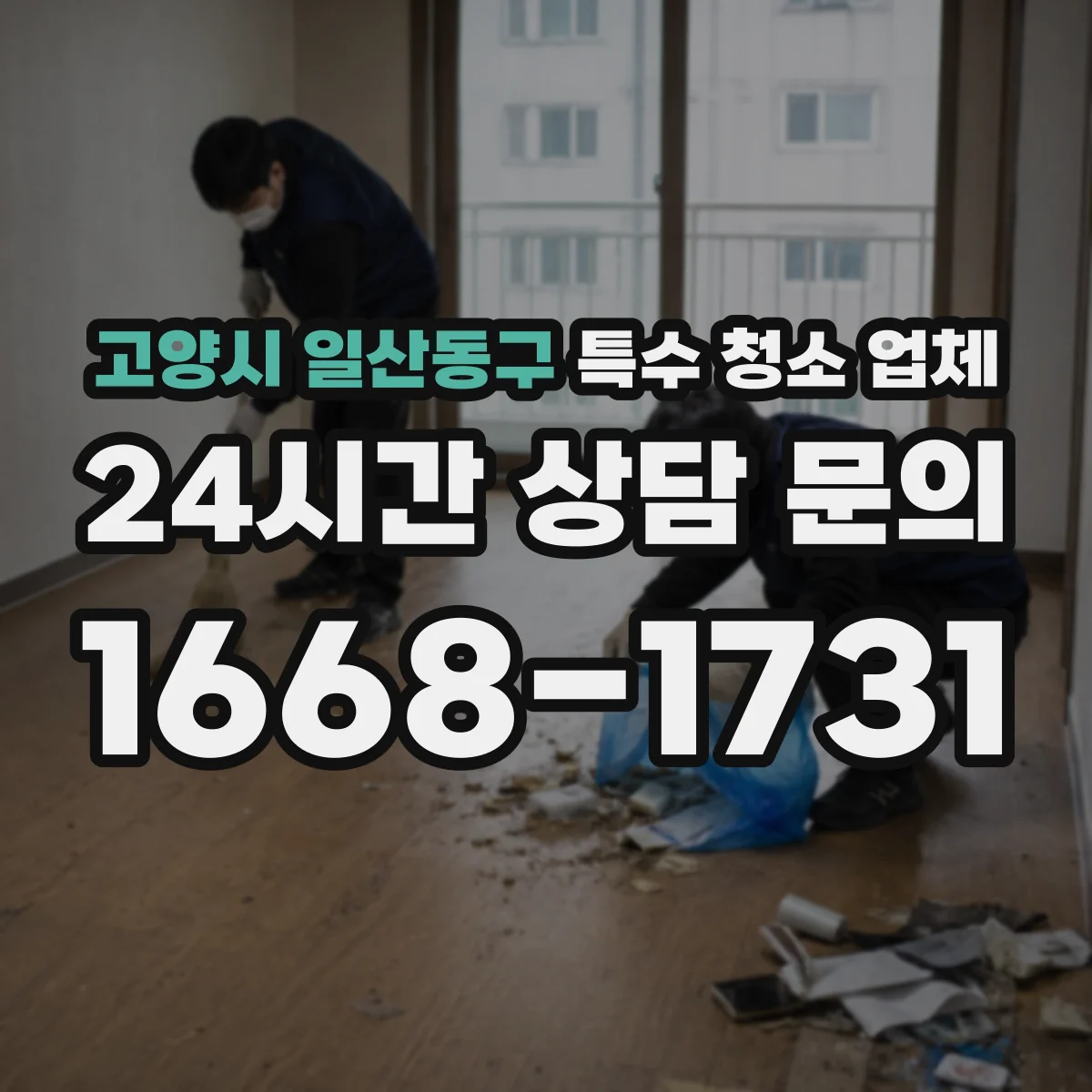 고양시 일산동구 특수 청소 업체 공정별로 가능한 범위와 소요 작업 단계